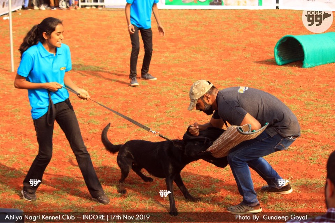 Furventures - Pet Adventures & Events - Photo 25